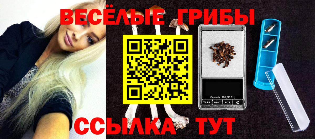 Галлюциногенные грибы Psilocybine cubensis Кингисепп