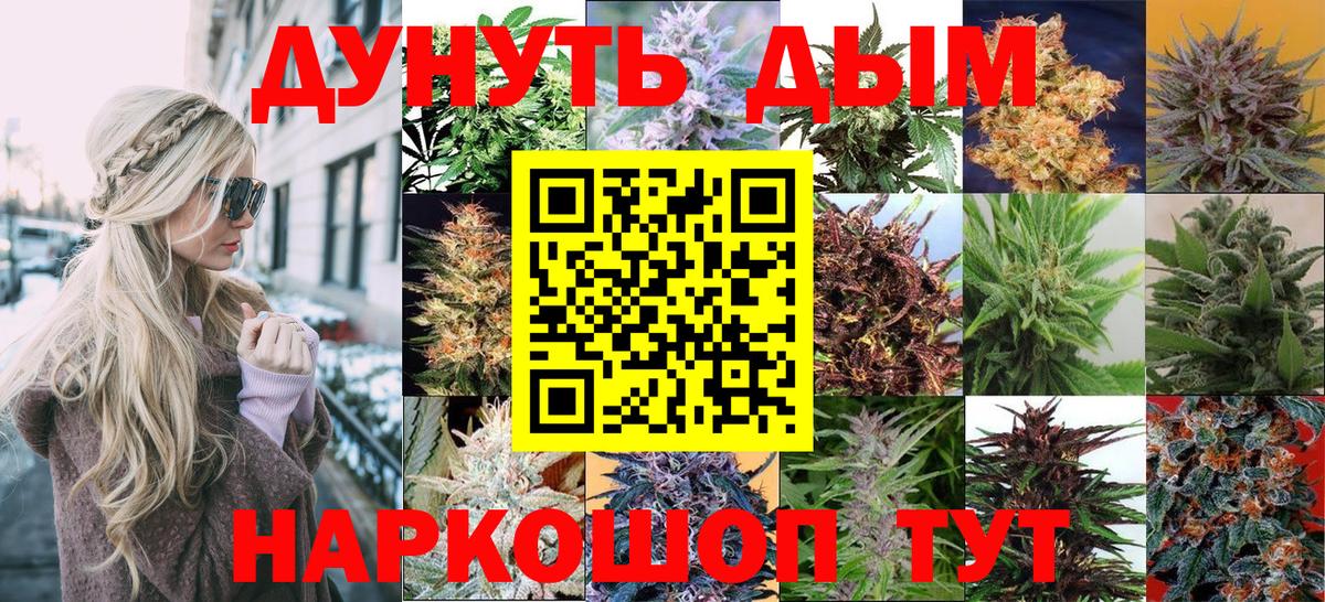 Конопля план Кингисепп